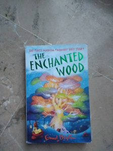 The enchanted wood (The Magic Faraway Tree)