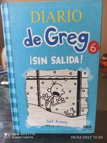 Diary Of a wimpy kid Cabin Feaver