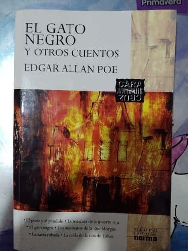 El gato negro y otros cuentos