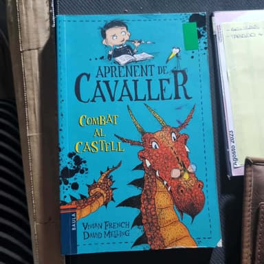 Aprenent de Cavaller-Combat al castell