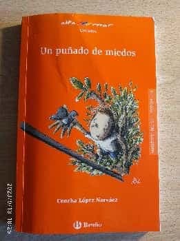 Punado de Miedos (A Bunch of Fears)
