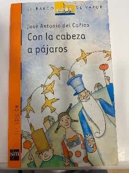 Con la cabeza a pajaros 