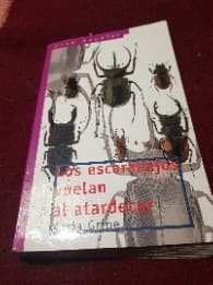 Los escarabajos vuelan al atardecer