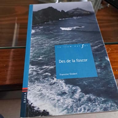 Des de la foscor