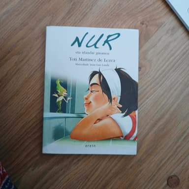 Nur eta irlandar gnomoa