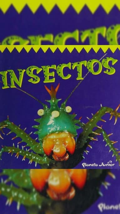 Insectos