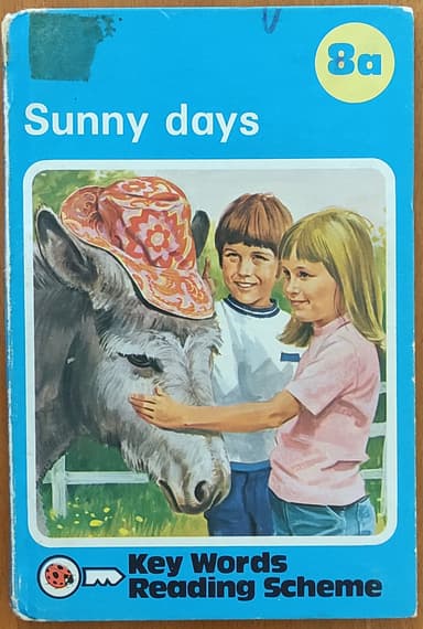 Sunny Days (Key Words)