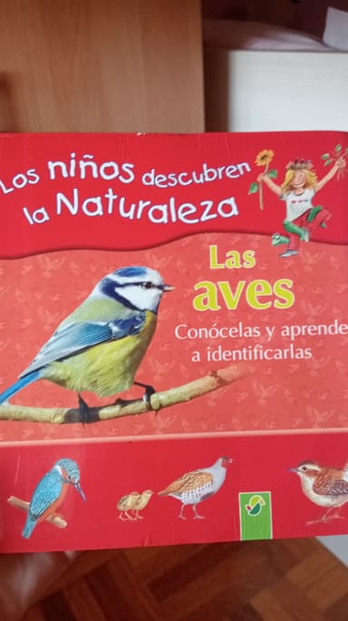 Los niños conocen la naturaleza. Las aves