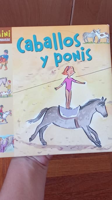 Caballos y ponis