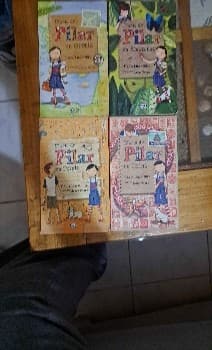 DIARIO DE PILAR