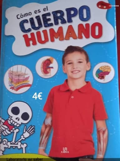Como es el cuerpo humano