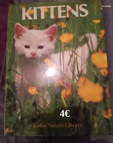 Kittens