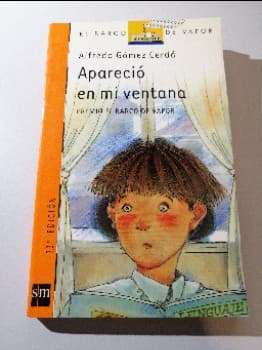Aparecio En Mi Ventana