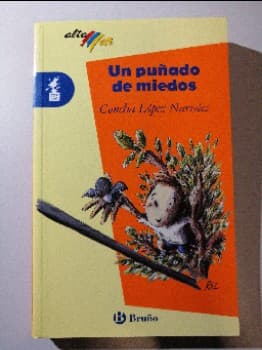 Un puñado de miedos 