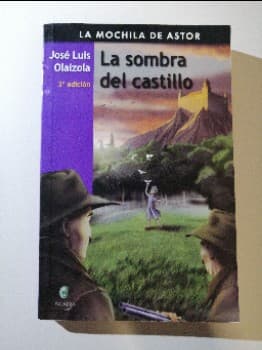 La sombra del castillo