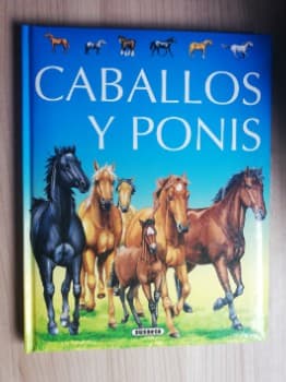 Caballos Y Ponis