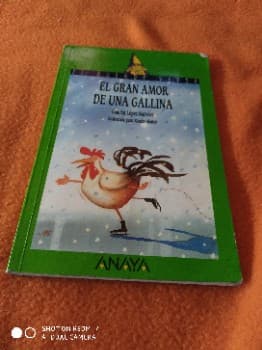 El Gran Amor de Una Gallina