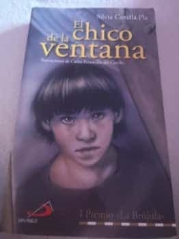 El chico de la ventana