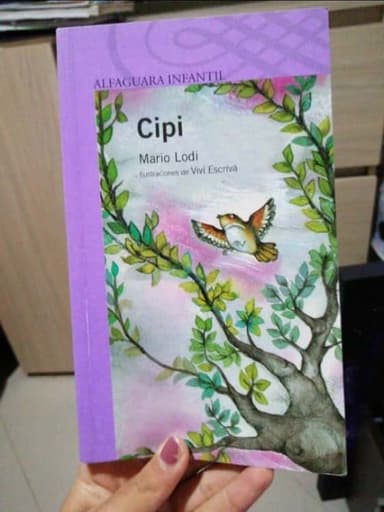 Cipi 