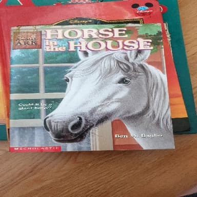 horse in the house