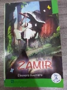 Zamir