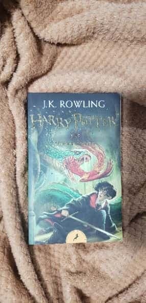 harry potter y la cámara secreta 