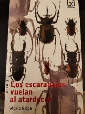 Los escarabajos vuelan al atardecer