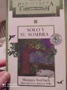 Solo Y Su Sombra