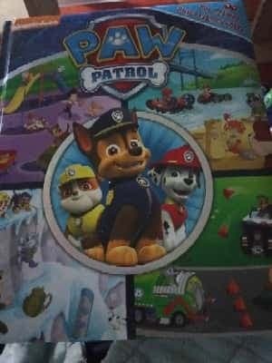 Busca y encuentra PAW patrol