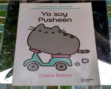 Yo soy Pusheen