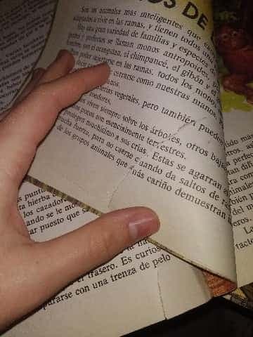 Mi primer libro de animales selva y granja