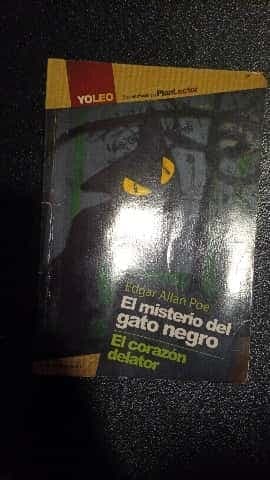 el misterio del gato negro