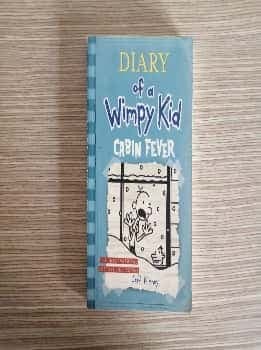 Diary of a Wimpy Kid 06. Cabin Fever