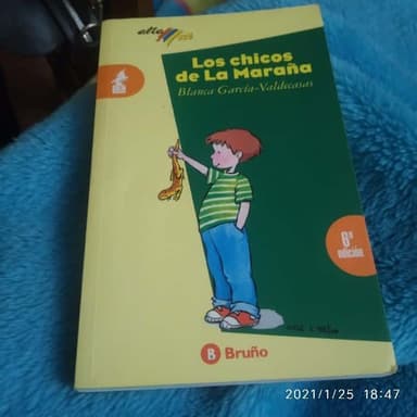 Los chicos de La Maraña