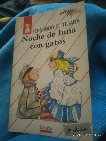 Noche De Luna Con Gatos