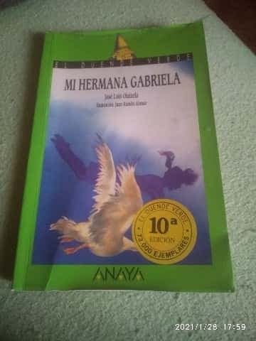 Mi hermana Gabriela
