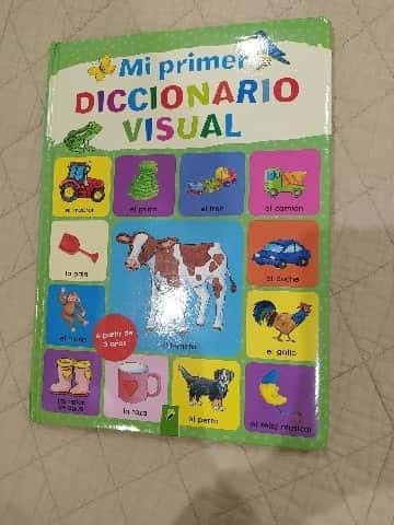 Mi primer DICCIONARIO VISUAL