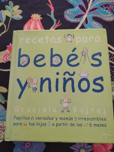 Recetas Bebes