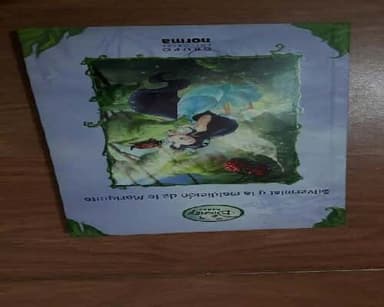 Silvermist Y La Maldicion De La Mariquita