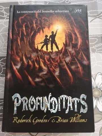 Profunditats