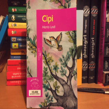 Cipi
