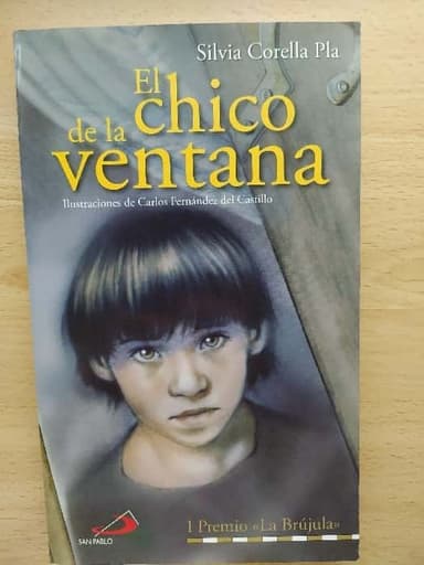 El chico de la ventana