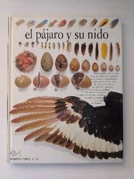 El Pajaro Y Su Nido
