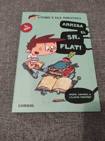 Arriba el Sr. Flat!