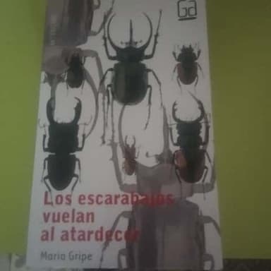 Los escarabajos vuelan al atardecer