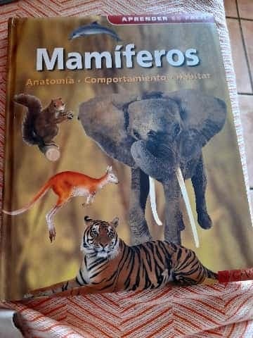 Mamíferos 