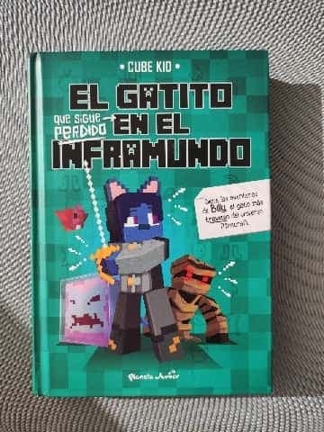 El gatito que sigue perdido en el Inframundo