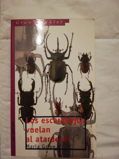 Los escarabajos vuelan al atardecer