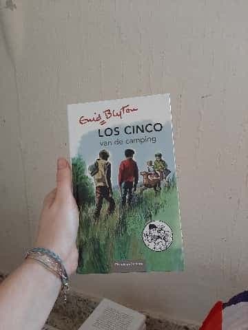 Los Cinco van de camping