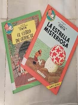 Tintín en 11 Tomos dobles (22 libros)